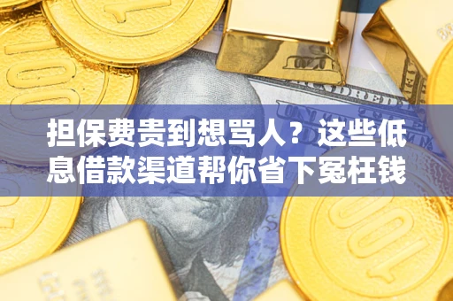 济南担保费贵到想骂人？这些低息借款渠道帮你省下冤枉钱