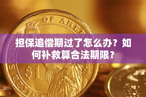 济南担保追偿期过了怎么办？如何补救算合法期限？
