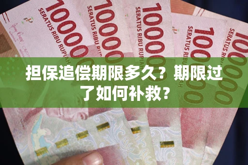 济南担保追偿期限多久？期限过了如何补救？