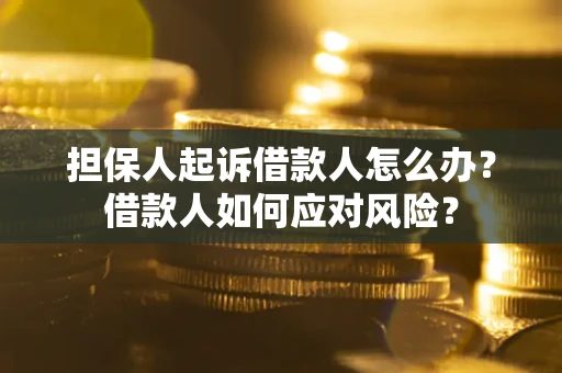 济南担保人起诉借款人怎么办？借款人如何应对风险？