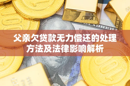 济南父亲欠贷款无力偿还的处理方法及法律影响解析